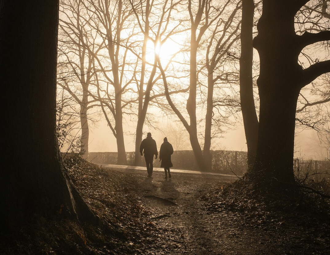 senior couple walking in forest